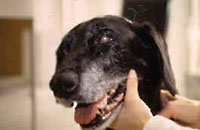 Oral Cancer After Surgery